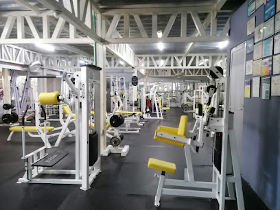 Performance Fit en Ciudad del Carmen