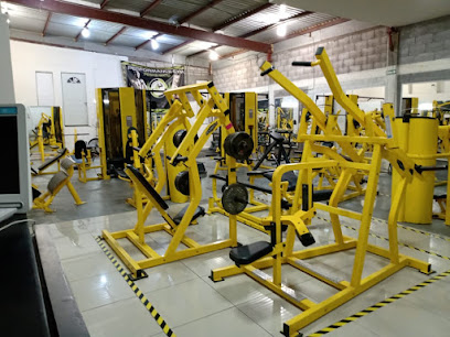 Performance Gym en Chihuahua