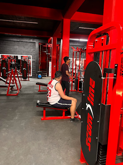 Pit Bull Gym Vch en Valle de Chalco Solidaridad