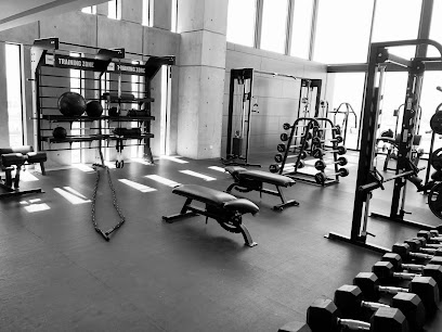 Power Plate Mexico Sa de Cv en Cuajimalpa de Morelos