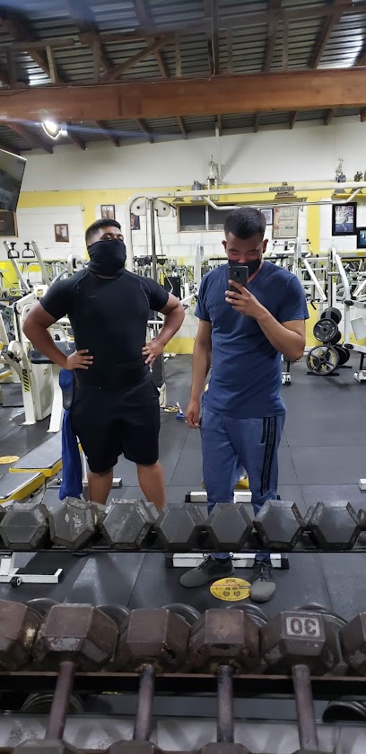 Pro Life Gym en Ensenada