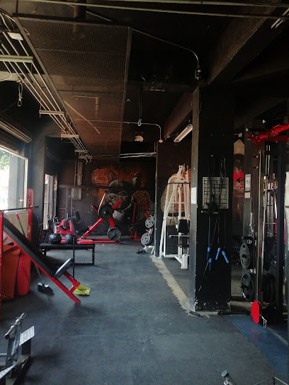 Psychotic Gym en Miguel Hidalgo