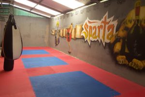 Sparta Gym en Escárcega