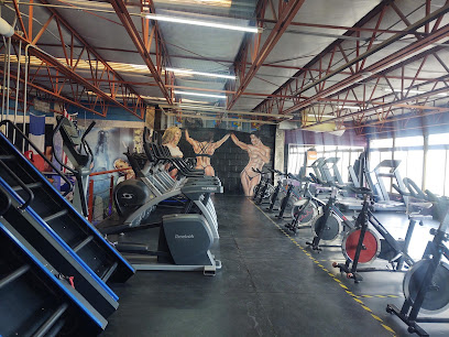 Steel Gym en Chihuahua
