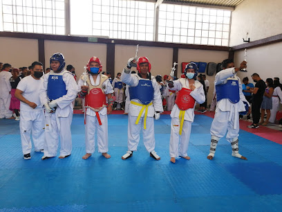 Taekwondo Leones L. M. en Chalco