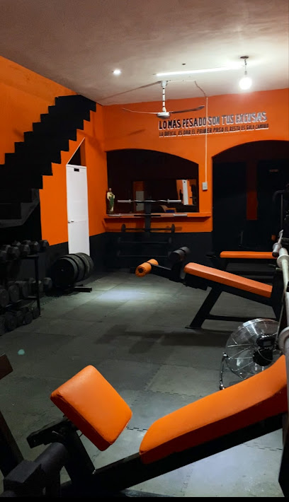 The Stronger Monkey en Ciudad del Carmen