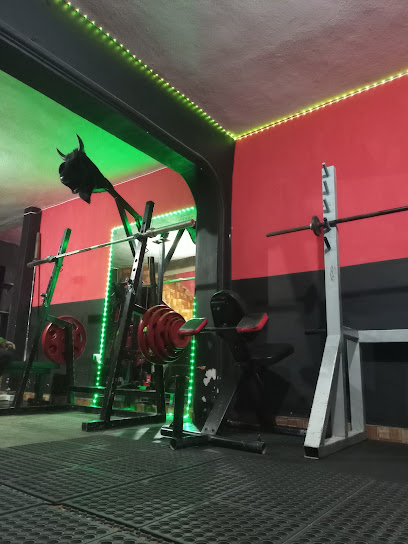 Toros Gym en Saltillo