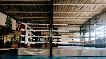 Xalli-Combat en Cuajimalpa de Morelos