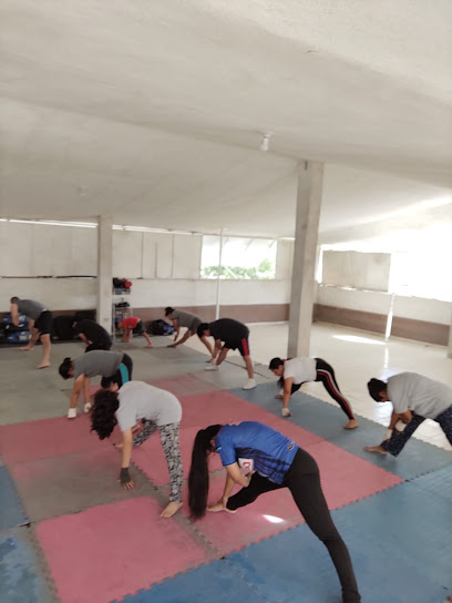 Academia Imua Ragnarok en General Escobedo