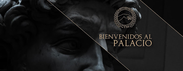 Aesthenics Gym en Chetumal