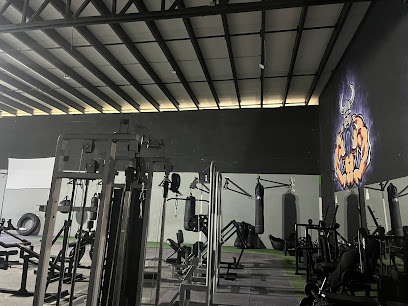 Ags Fit Gym en Aguascalientes