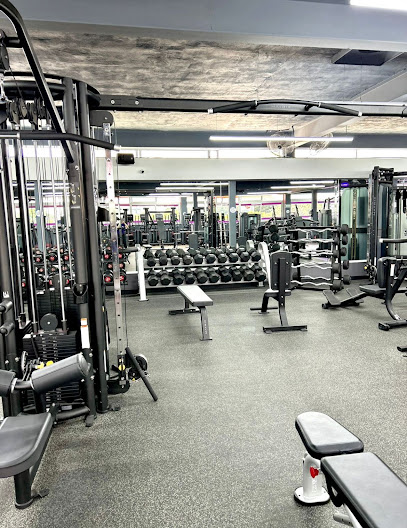 Anytime Fitness San Ignacio Zapopan en Zapopan