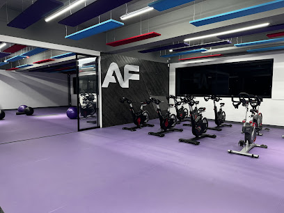 Anytime Fitness San Juan del Río en San Juan del Río