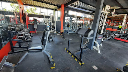 Borregos Gym en Puebla