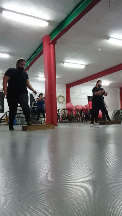 Castillo Gym en Guadalupe