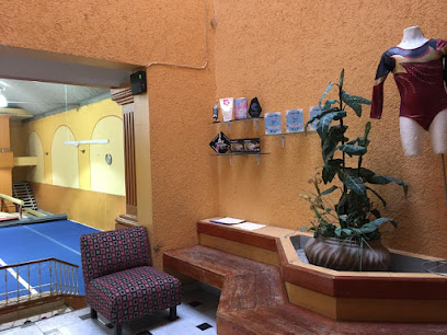 Central Gym Xalapa - Gimnasia Artística en Xalapa