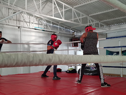 Comude Zapopan (Área de Gimnasios) en Zapopan