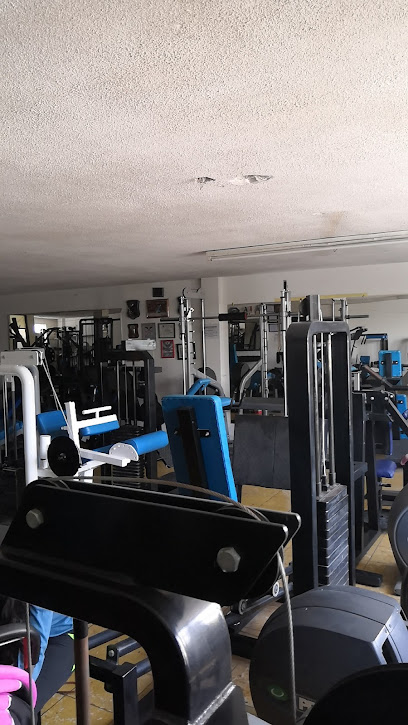 Demon Gym en San Luis Potosí