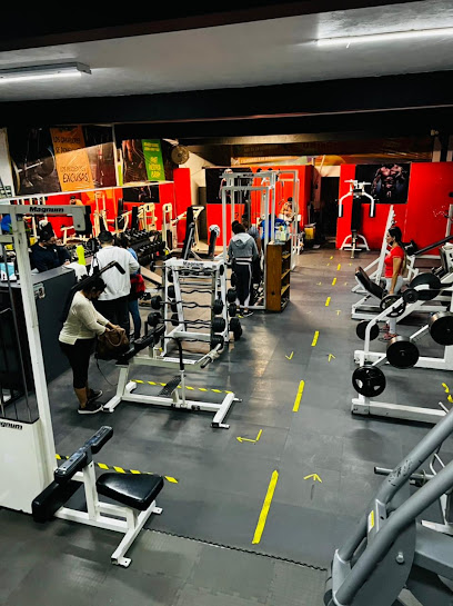€Uro Gym en Zapopan
