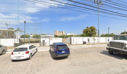 Entrenador Olympic Gym Puerto Vallarta en Puerto Vallarta