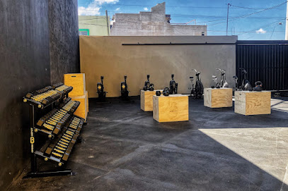Fitness Arena en Tepic