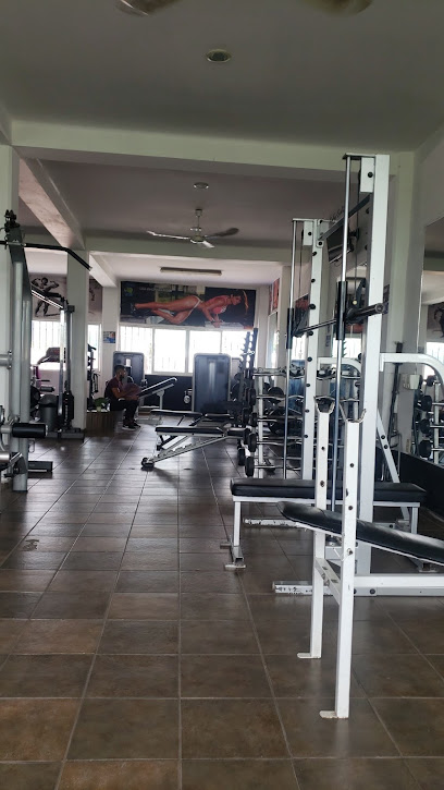 Force Gym en Tepic