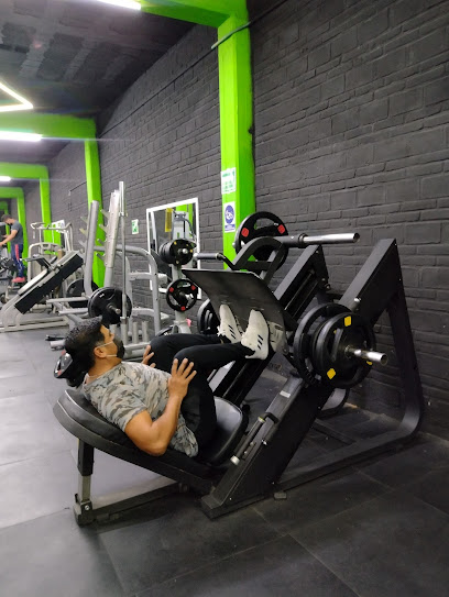 Frogs Gym Puebla en Puebla