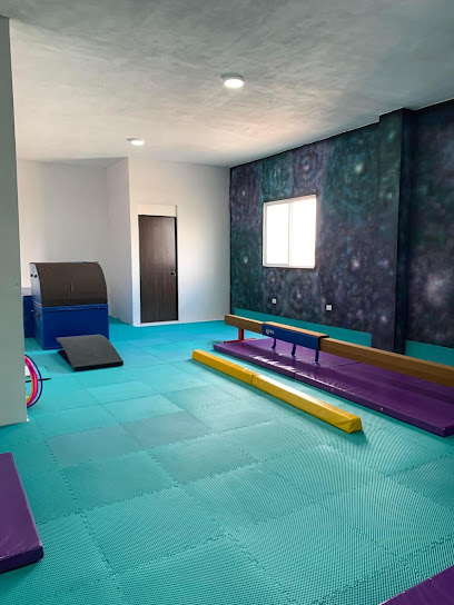 Galaxy Academia de Gimnasia en General Escobedo