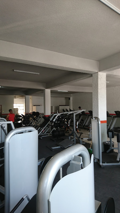 Grizzly's Gym en San Luis Potosí
