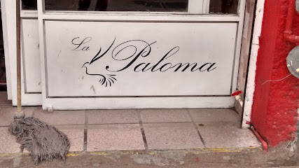 Gym La Paloma en Soledad de Graciano Sánchez