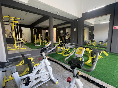 Gym Olimpo en Playa del Carmen