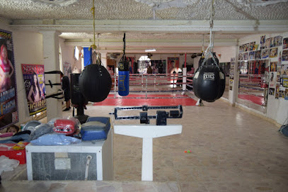Gym Pitbull en Tonalá