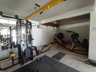 Honey Badger Gym en Acapulco