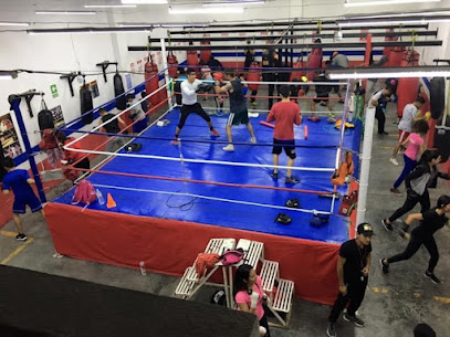 Ibarra Boxing Promotions en Apodaca