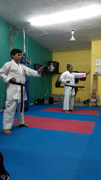 Karate Shotokan Cozumel en Cozumel