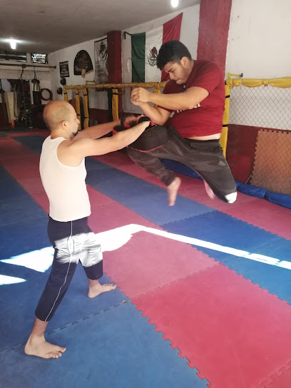 Lords Of War Mma en Tepic