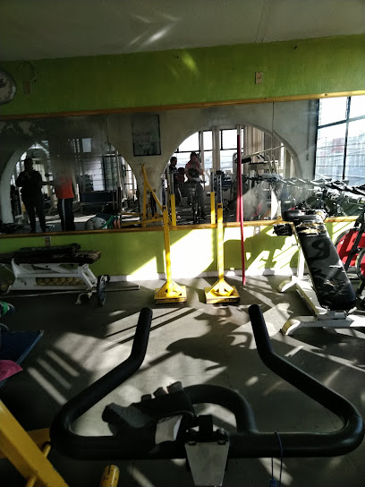 Mr. Jalisco Gym Ii en Tlaquepaque