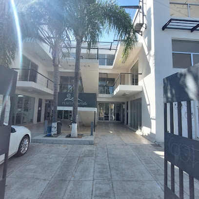 Onfitjardines en Zapopan