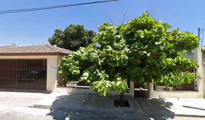 Pitbull Gym en Cd. Victoria