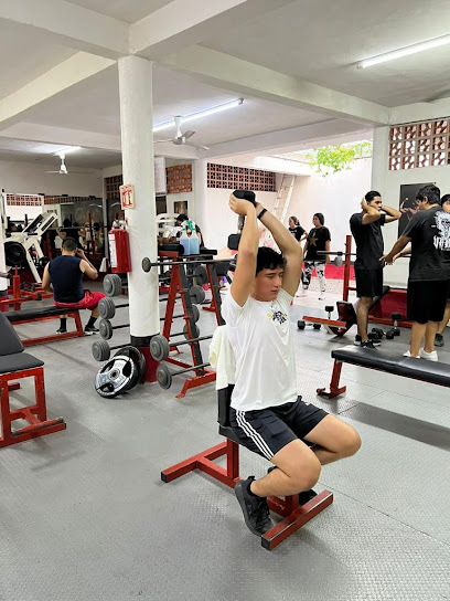 Power Zone Gym en Puerto Vallarta