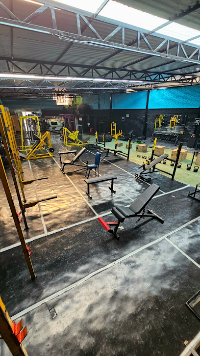 Protein Gym en Xalapa