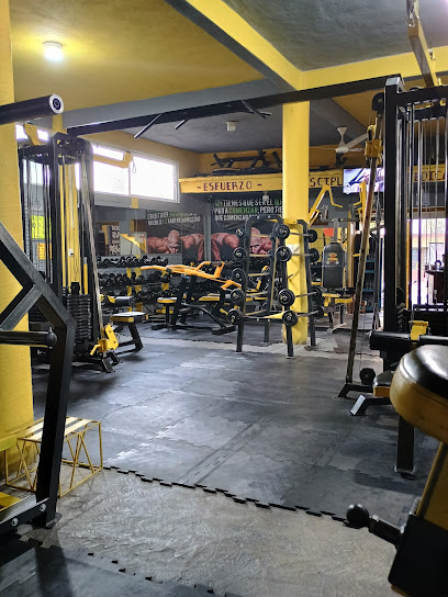 Roaa Gym en Cuautla