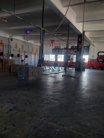 Silverback Tc Gym en Veracruz