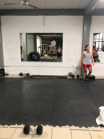 Spartan Entrenamiento Funcional y Animal Move en Puerto Vallarta