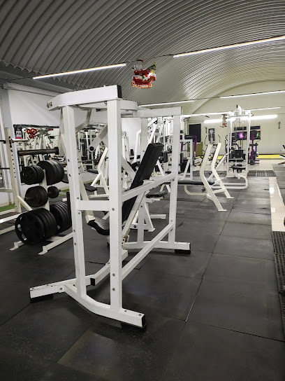 Spartans Gym en Pachuca