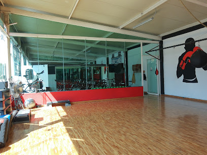 Sport Trainer en Puebla
