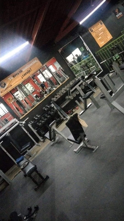 Steel Winner Fitness en Tlaquepaque