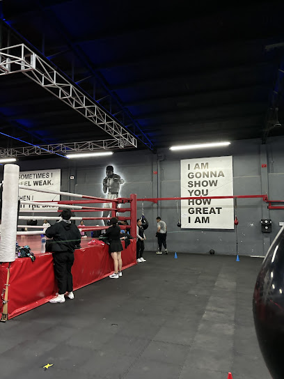 Vive Box en Oaxaca de Juárez