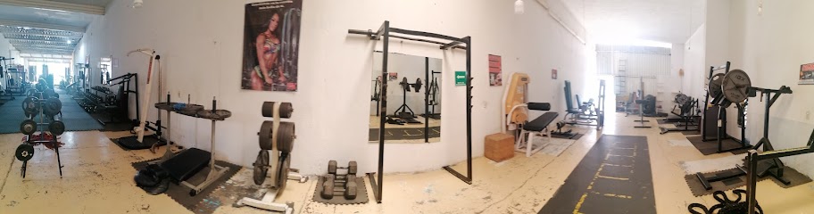 Wolf Gym en Tepic
