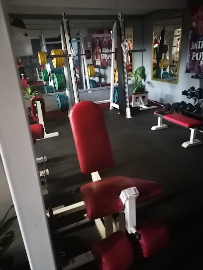 Animal Power Gym en Iztapalapa